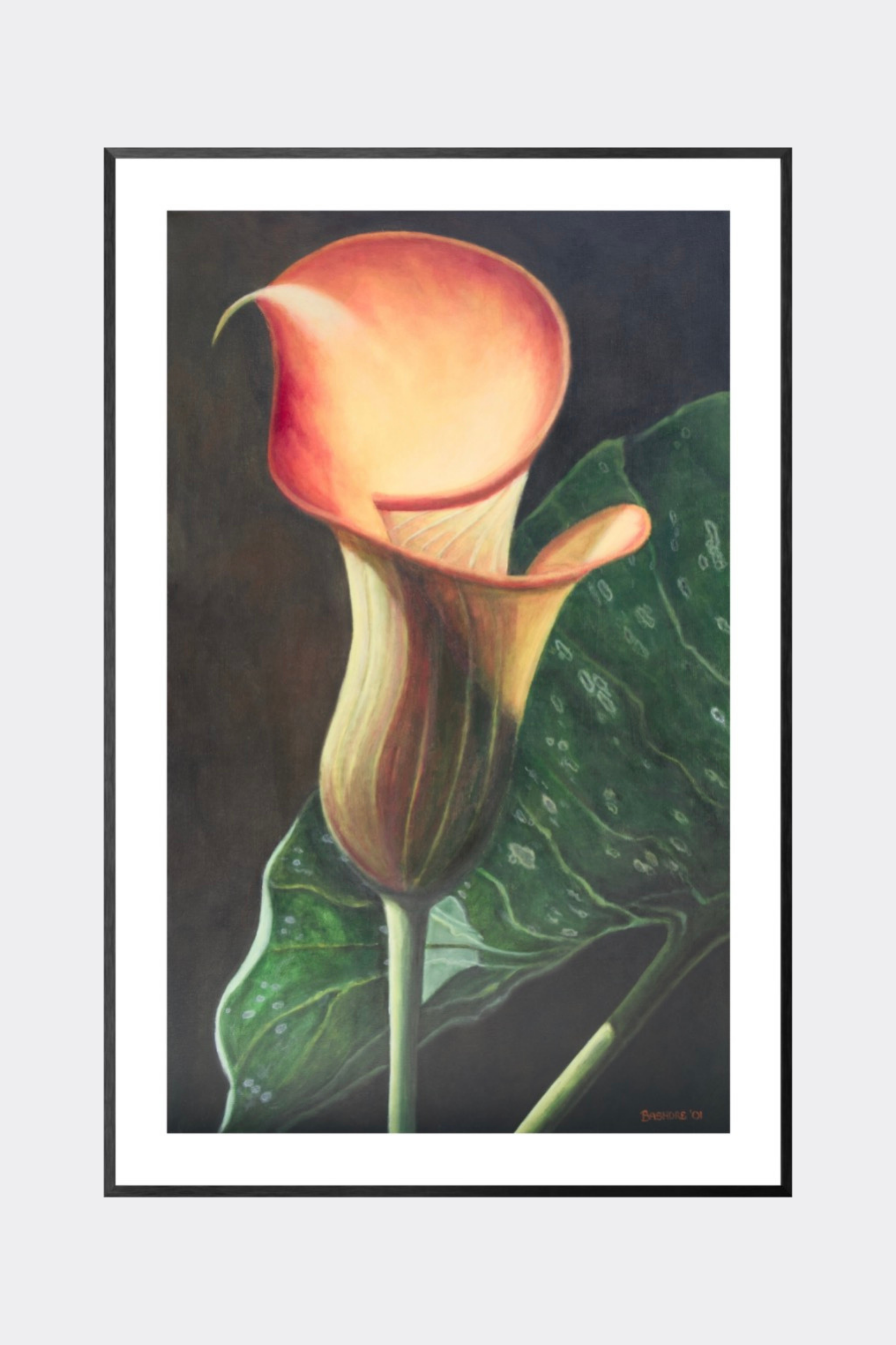 calla lily flower painting Calla Lily