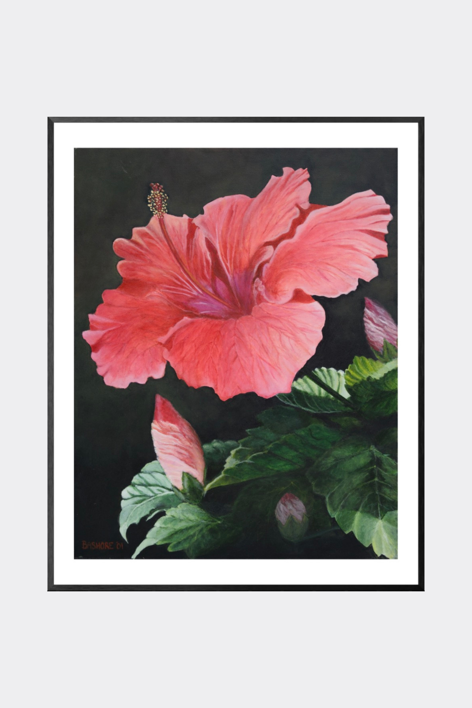 Hibiscus