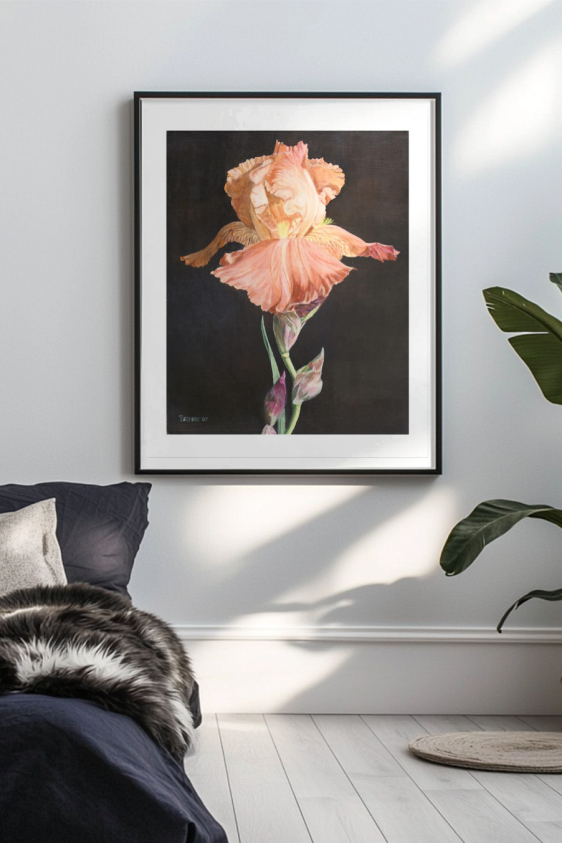Orange Iris