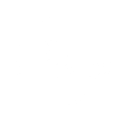 Bloom & Brush