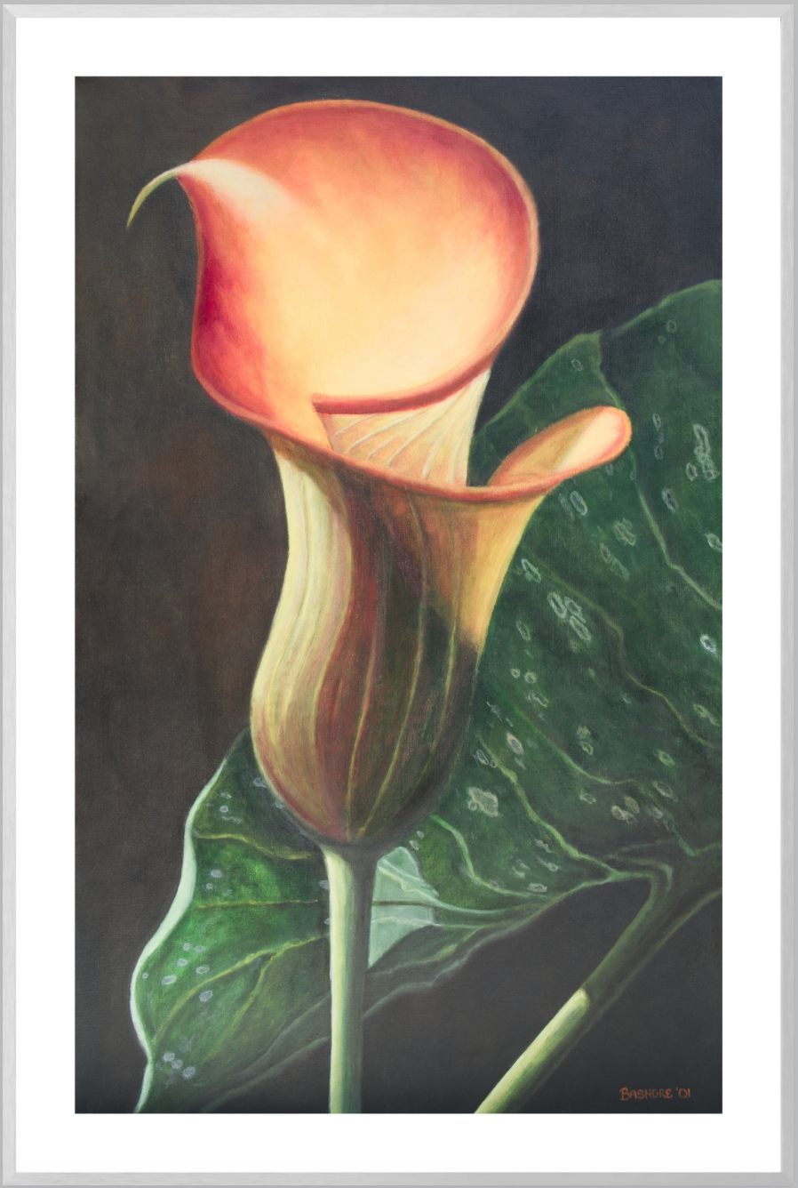 calla lily flower paintings Calla Lily