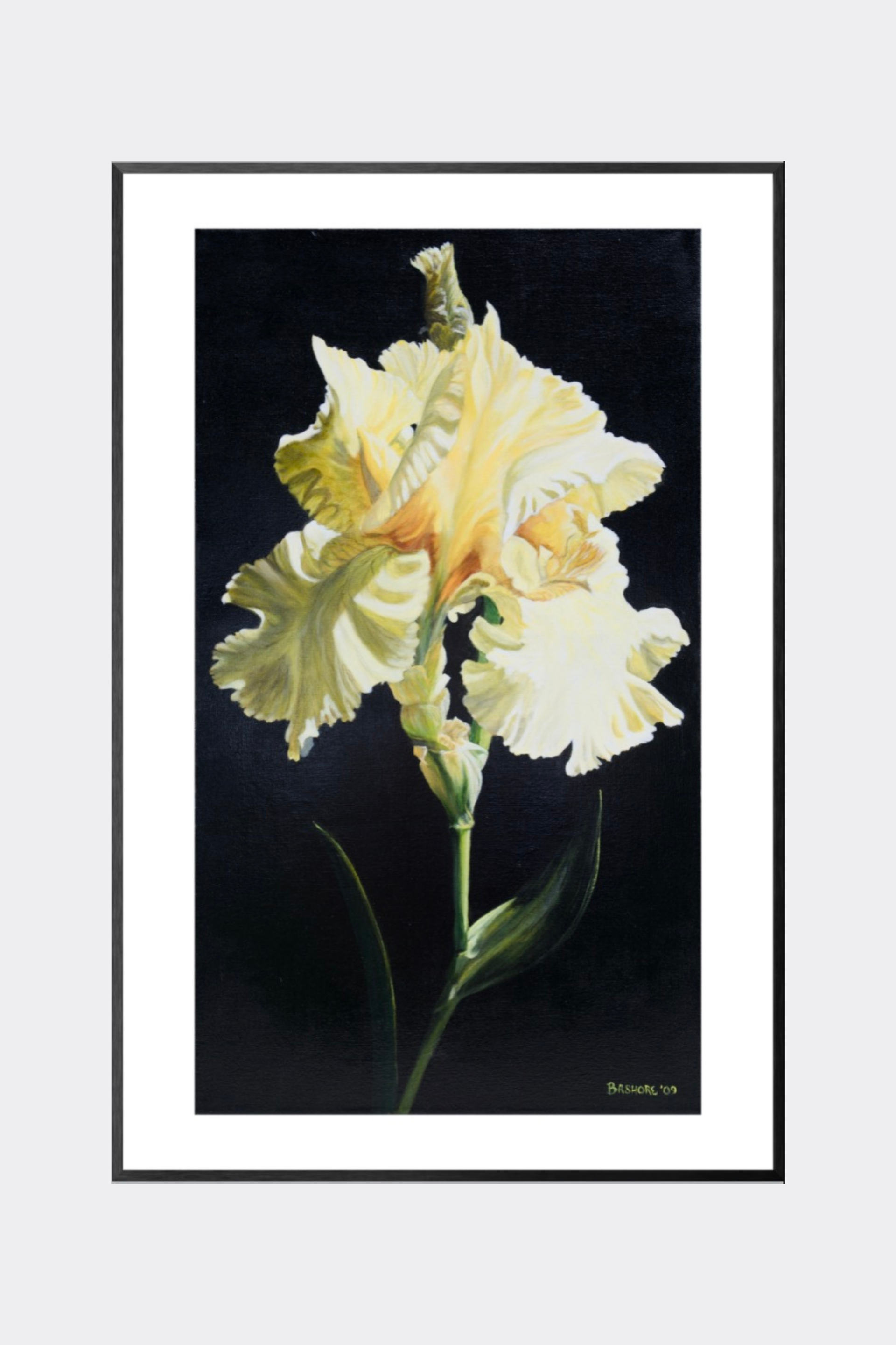 Yellow Iris
